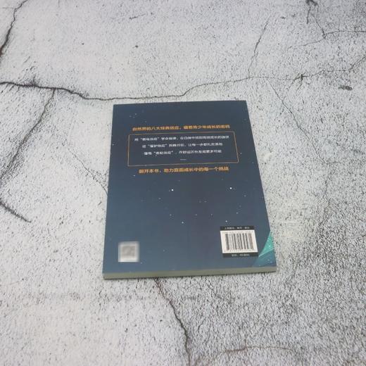 懒鸟效应—:自律的孩子更优秀 商品图2