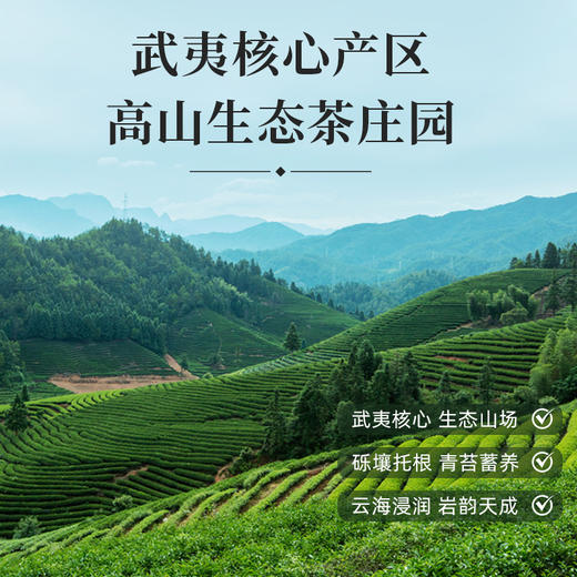 岩谷新兴肉桂250g 商品图1