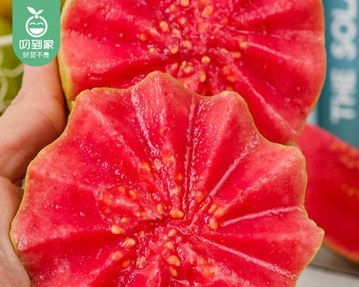 诏安盐碱地草莓芭乐/1箱（6-9个，共1.25kg±50g） 商品图5