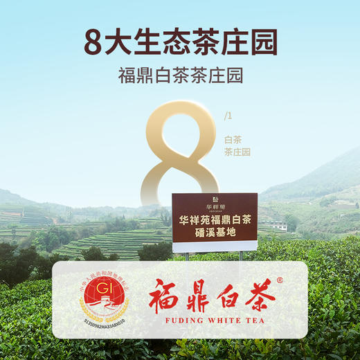 华祥苑庄园茶-100g雅士白毫银针25罐装(3.0版) 商品图2