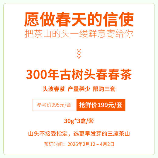 【春茶现货】2026年头春古树纯料散茶30克*3 商品图1