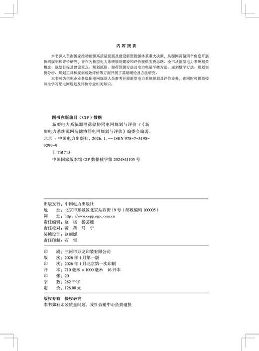 新型电力系统源网荷储协同电网规划与评价 商品图3