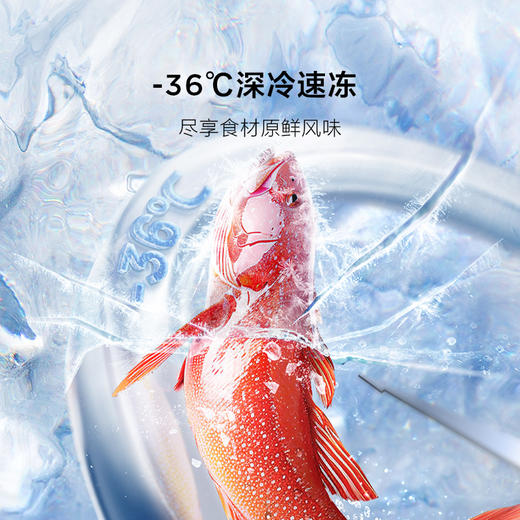 【新品上市】TCL 小清柠539升法式多门四开门双系统双净味大容量一级能效冰箱 R539V7-DS 商品图8