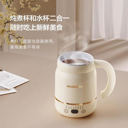 家用多功能迷你电炖杯办公室小型电热杯炖煮加热便携式花茶养生壶 商品图2