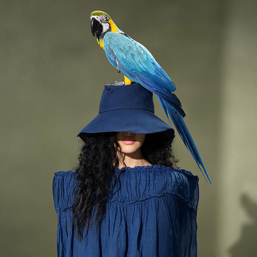 【林栖设计小店】植物染色|手工植物蓝纯棉蝴蝶结复古百搭2026春新款帽子2961133 商品图1