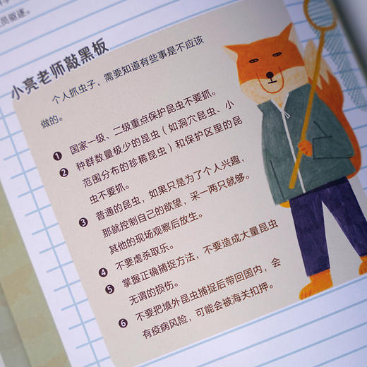 我的昆虫学入门书：无穷小亮讲昆虫，和无穷小亮一起玩懂昆虫，成为更有趣的人！昆虫插画科普 商品图7