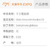 千日菊原精Gomphrena globosa法国直采精油原料批发大篷车精油 商品缩略图2