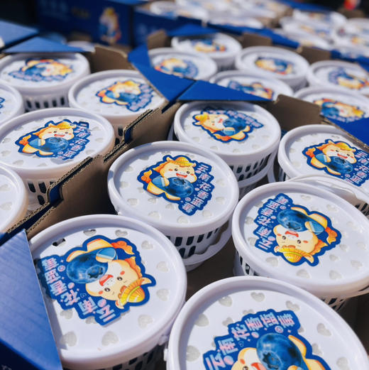 【活动款空运蓝莓】花香味十足，脆甜多汁，18➕大果果，护眼神器 商品图2