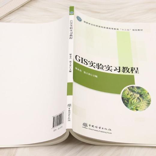 GIS实验实习教程 商品图3