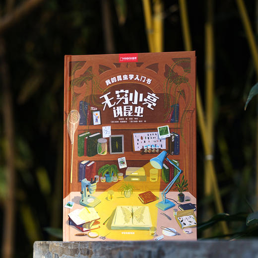 我的昆虫学入门书：无穷小亮讲昆虫，和无穷小亮一起玩懂昆虫，成为更有趣的人！昆虫插画科普 商品图2