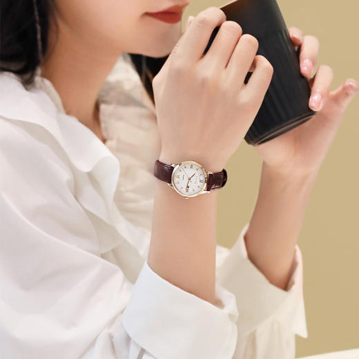 飞亚达经典系列女士腕表DL802052.MWR.A 商品图2