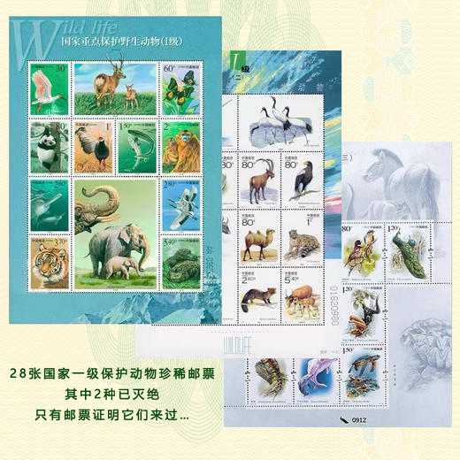 《草原狼王》珍爱野生动物系列纪念套组 商品图3