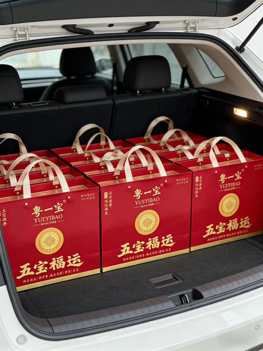 五宝福运：
100克15年新会陈皮
40克精品铁皮石斛
20克大片西洋参
45克精品长白灵芝
30克上品长白黄芪 商品图1