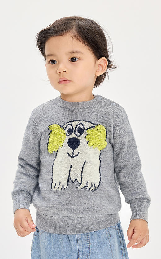 Jnby  26年春款  长袖套头毛衫  YQ2311310 商品图4