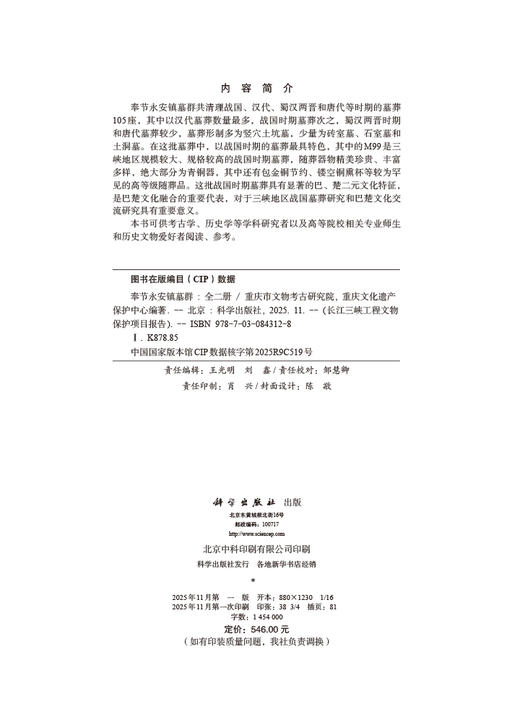 奉节永安镇墓群（全二册） 商品图2