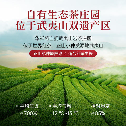 华祥苑-80g正山小种红茶(ECC) 商品图4