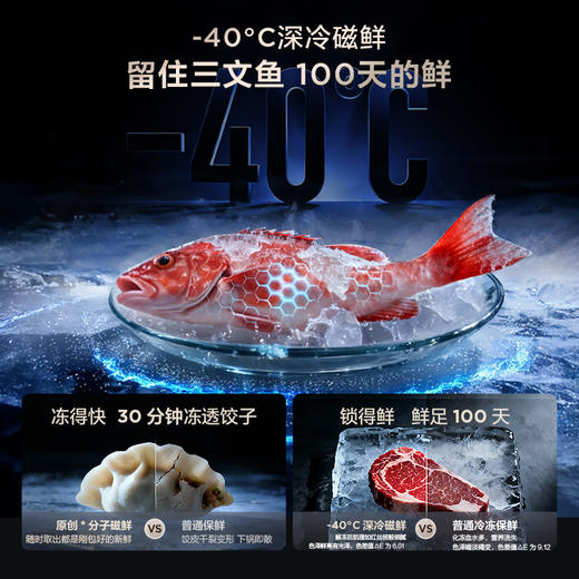 【新品上市】TCL 双磁鲜515升十字门深冷磁鲜双系统双净味零嵌冰箱新一级R515T11N-UQS 商品图1