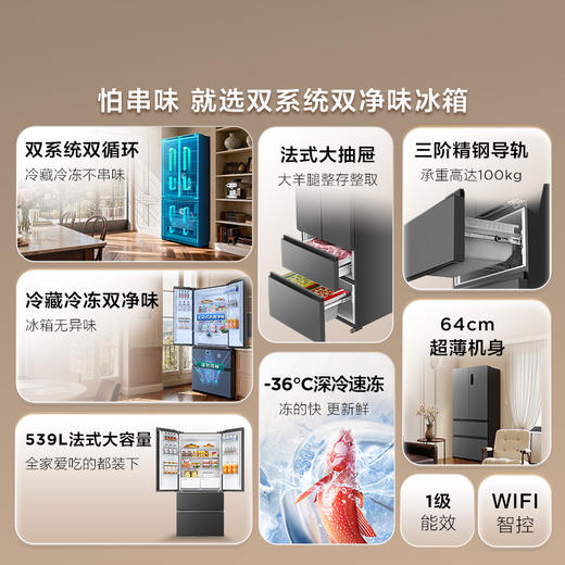 【新品上市】TCL 小清柠539升法式多门四开门双系统双净味大容量一级能效冰箱 R539V7-DS 商品图2
