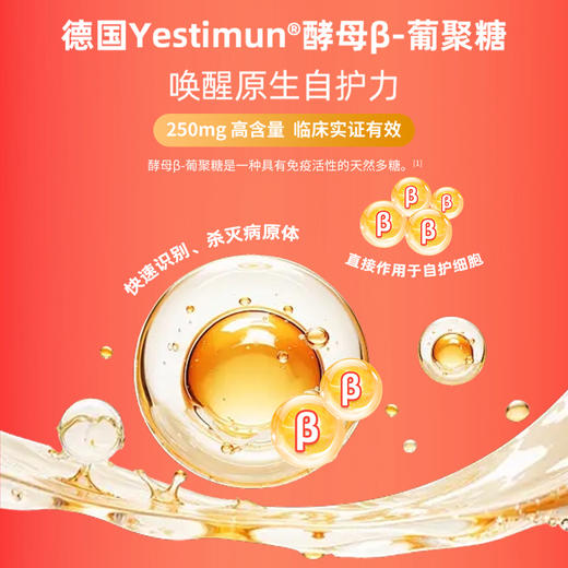 【贝思达】酵母β-葡聚糖固体饮料 商品图2