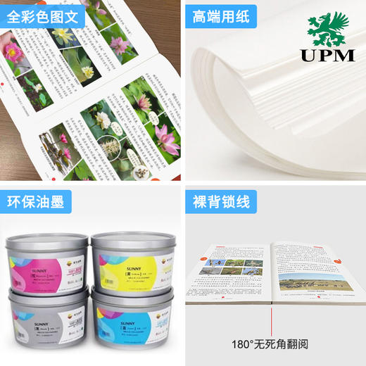 《年级阅读》 6-12岁 语文教材配套知识库 全面解答课内疑问 商品图4