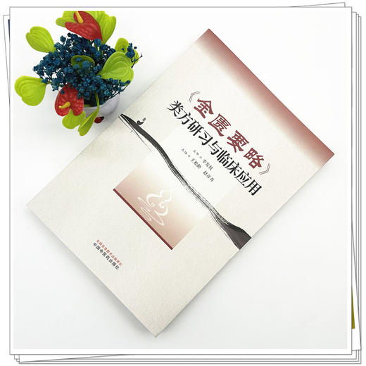 《金匮要略》类方研习与临床应用 王松岭 赵彦青 主编 中国中医药出版社 商品图1