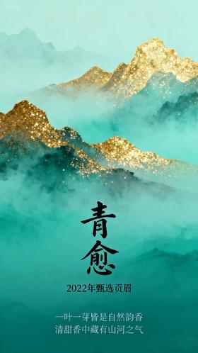 青愈2022年贡眉 福鼎白茶