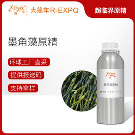 墨角藻原精Fucus Vesiculosus植物精油原料批发芳疗大篷车精油