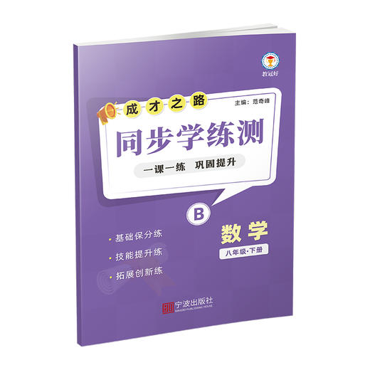 同步学练测 数学 八年级下册 成才之路 商品图3