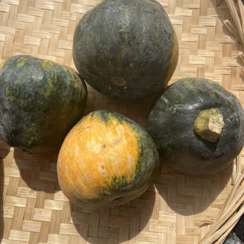 迷你小金瓜5斤装