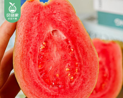 诏安盐碱地草莓芭乐/1箱（6-9个，共1.25kg±50g） 商品图4