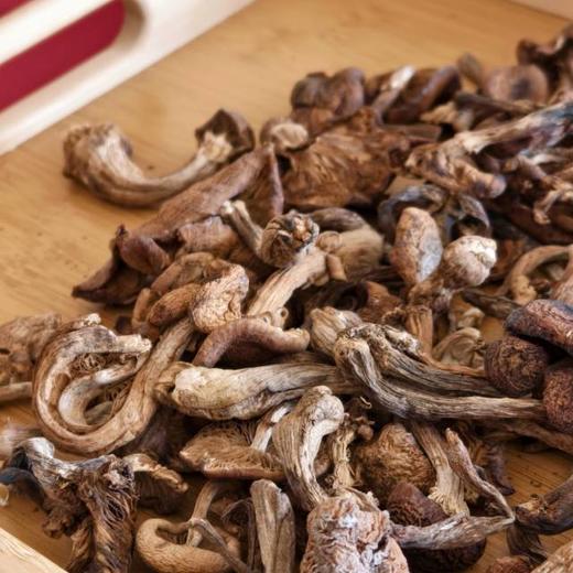 有机野生榛蘑 | 双有机认证 小兴安岭山脉 自然晾晒 去根去杂 个头饱满 小鸡炖蘑菇食材 商品图3