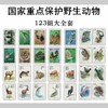 《草原狼王》珍爱野生动物系列纪念套组 商品缩略图2