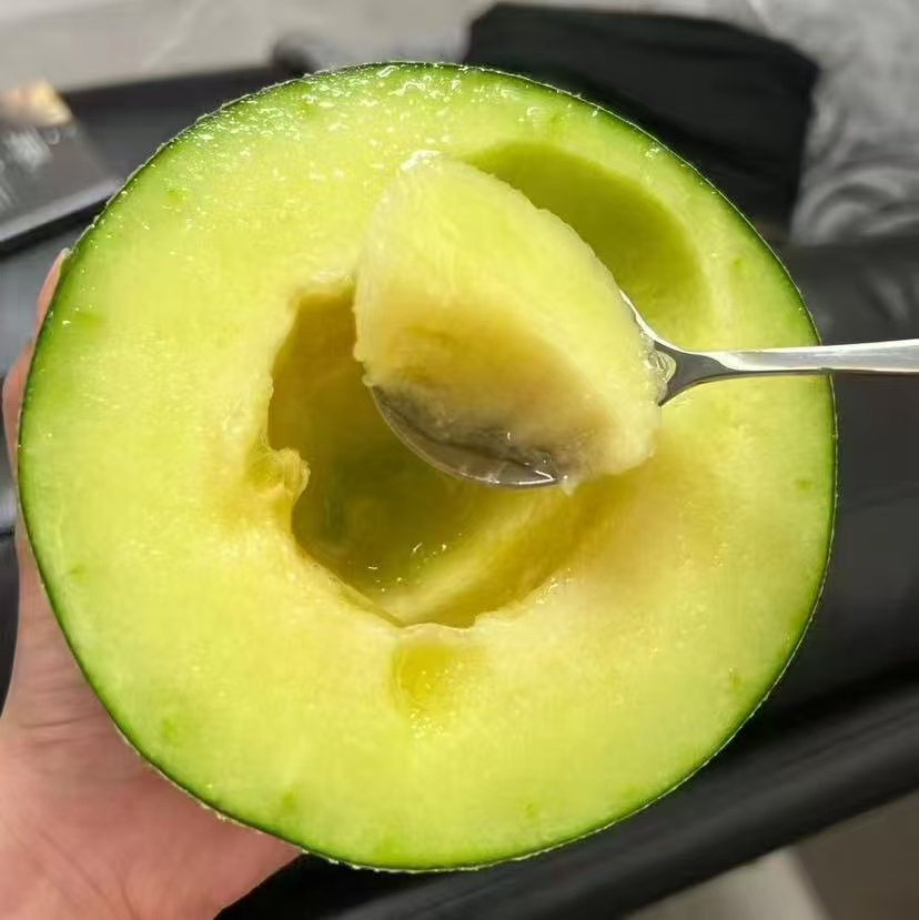 海南网纹玫珑蜜瓜