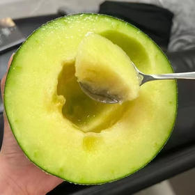 海南网纹玫珑蜜瓜