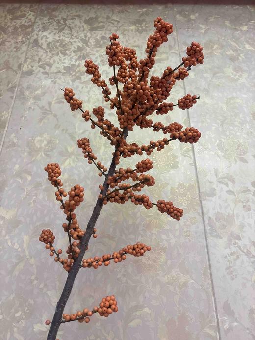 【心想柿橙】冬青 橙色 单枝 约1.3米 商品图6