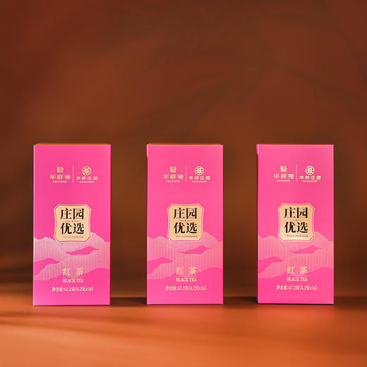 华祥庄园-201.6g优选红茶2.0 商品图2