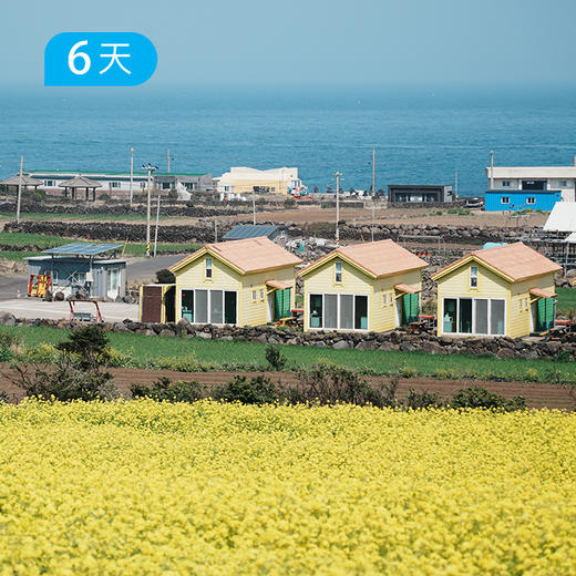 重磅新线丨偶来小径100KM  全球十大最受欢迎海岸徒步线 走进春天的韵脚里  6天 商品图3