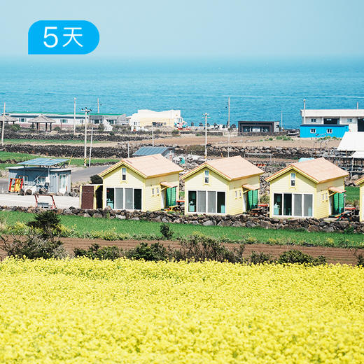 韩国之巅丨登汉拿山  济州岛最美春花季  粉色浪漫与灿金盛宴 【免签】  5日 商品图1