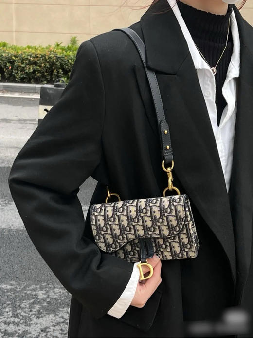 DIOR 老花 马鞍 woc 腰包 商品图3