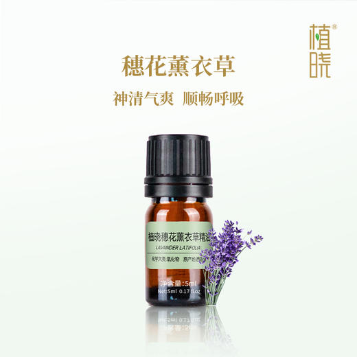 植晓  穗花薰衣草精油  5ml 商品图0