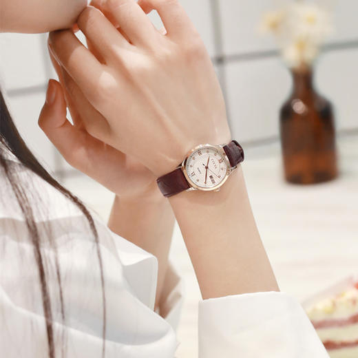 飞亚达经典系列女士腕表DL802052.MWR.A 商品图1