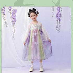 笛莎/Deesha 观山见联名2026年春季新款童装女童国风连衣裙