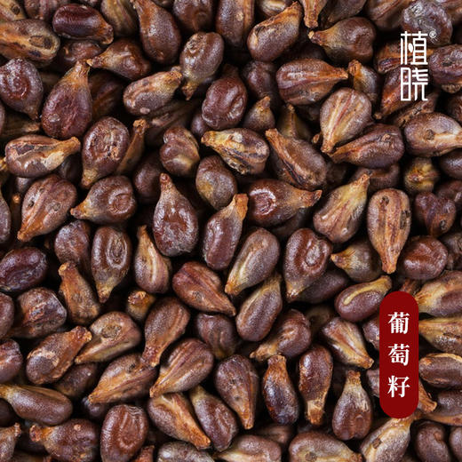 植晓 葡萄籽油 100ml 商品图1