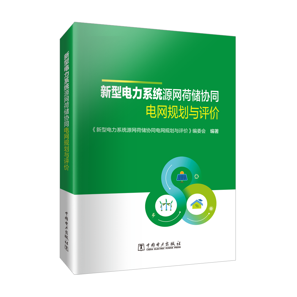 新型电力系统源网荷储协同电网规划与评价