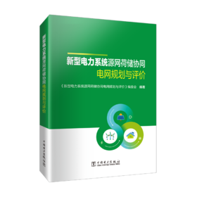 新型电力系统源网荷储协同电网规划与评价