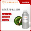 欧洲黑杨叶芽原精 Populus Nigra 法国直采 原料批发芳疗 商品缩略图0