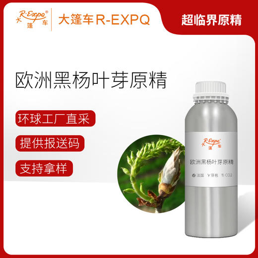 欧洲黑杨叶芽原精 Populus Nigra 法国直采 原料批发芳疗 商品图0
