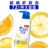 海飞丝清爽控油/柔润修护洗发水 430g/瓶 商品缩略图0