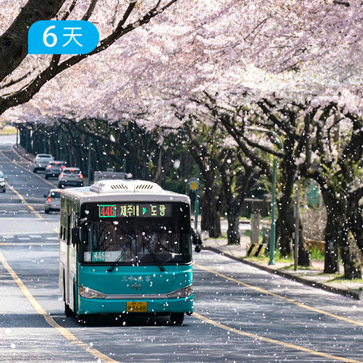 重磅新线丨偶来小径100KM  全球十大最受欢迎海岸徒步线 走进春天的韵脚里  6天 商品图2