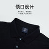 【莱赛尔】德鲨鲨鱼条纹短袖POLO衫男青年新款休闲上衣T恤 商品缩略图3